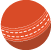 T20 Cricket